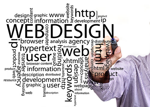Toucan Professional Website Design